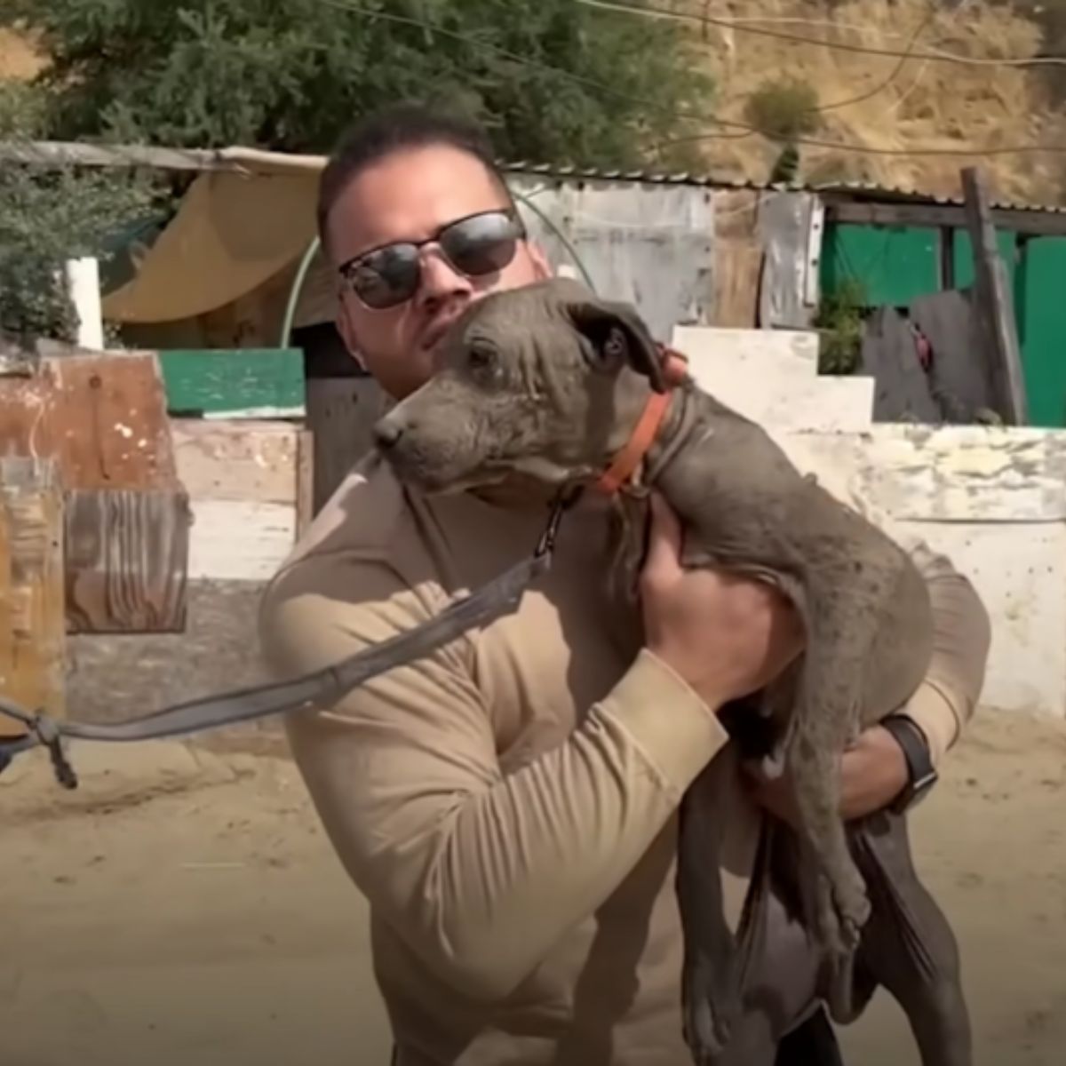 man holding an old dog