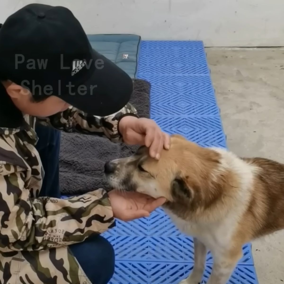 man with hat and dog