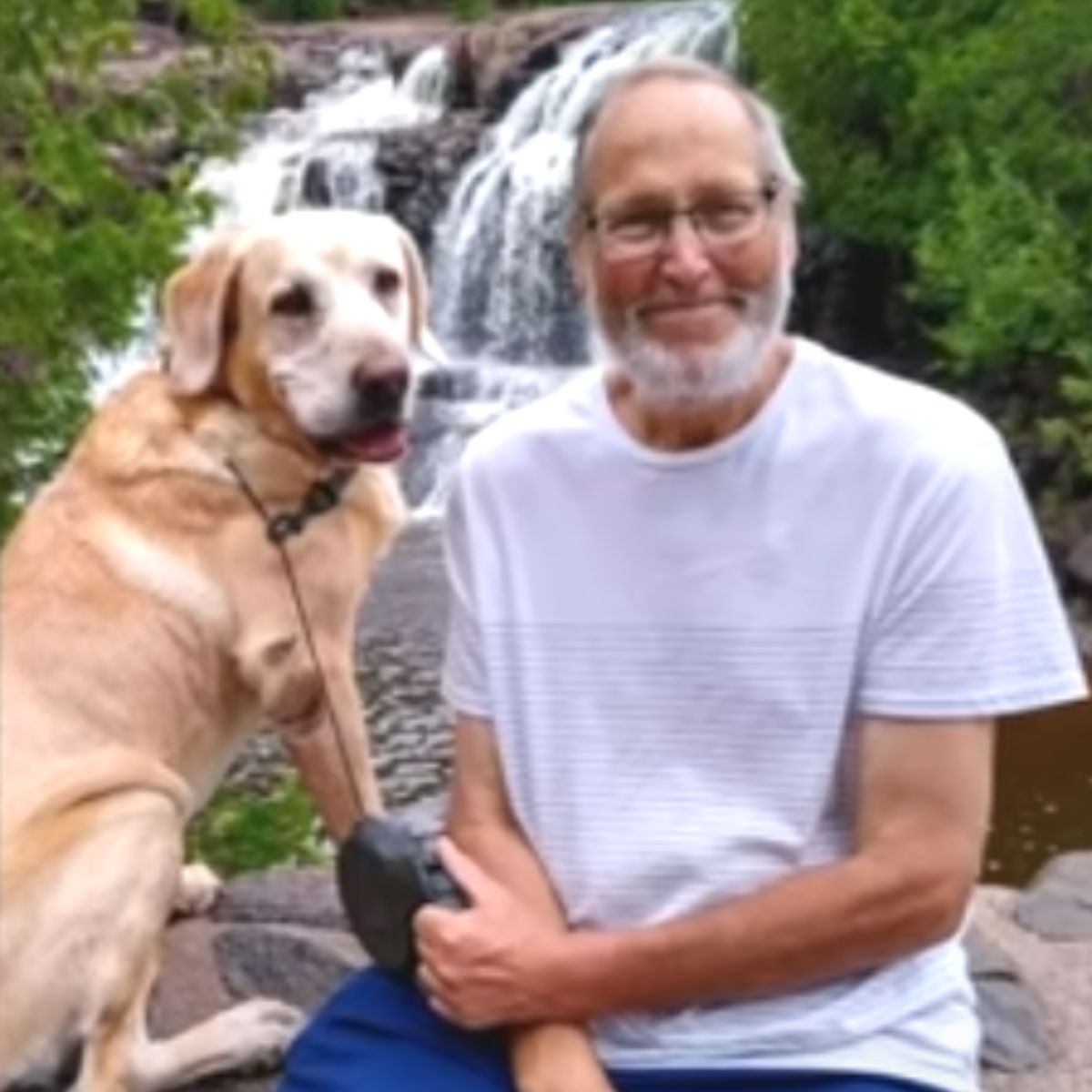 old man and his dog