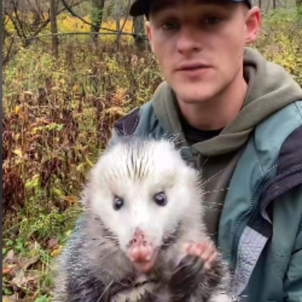 opossum in the arms of a man in the forest