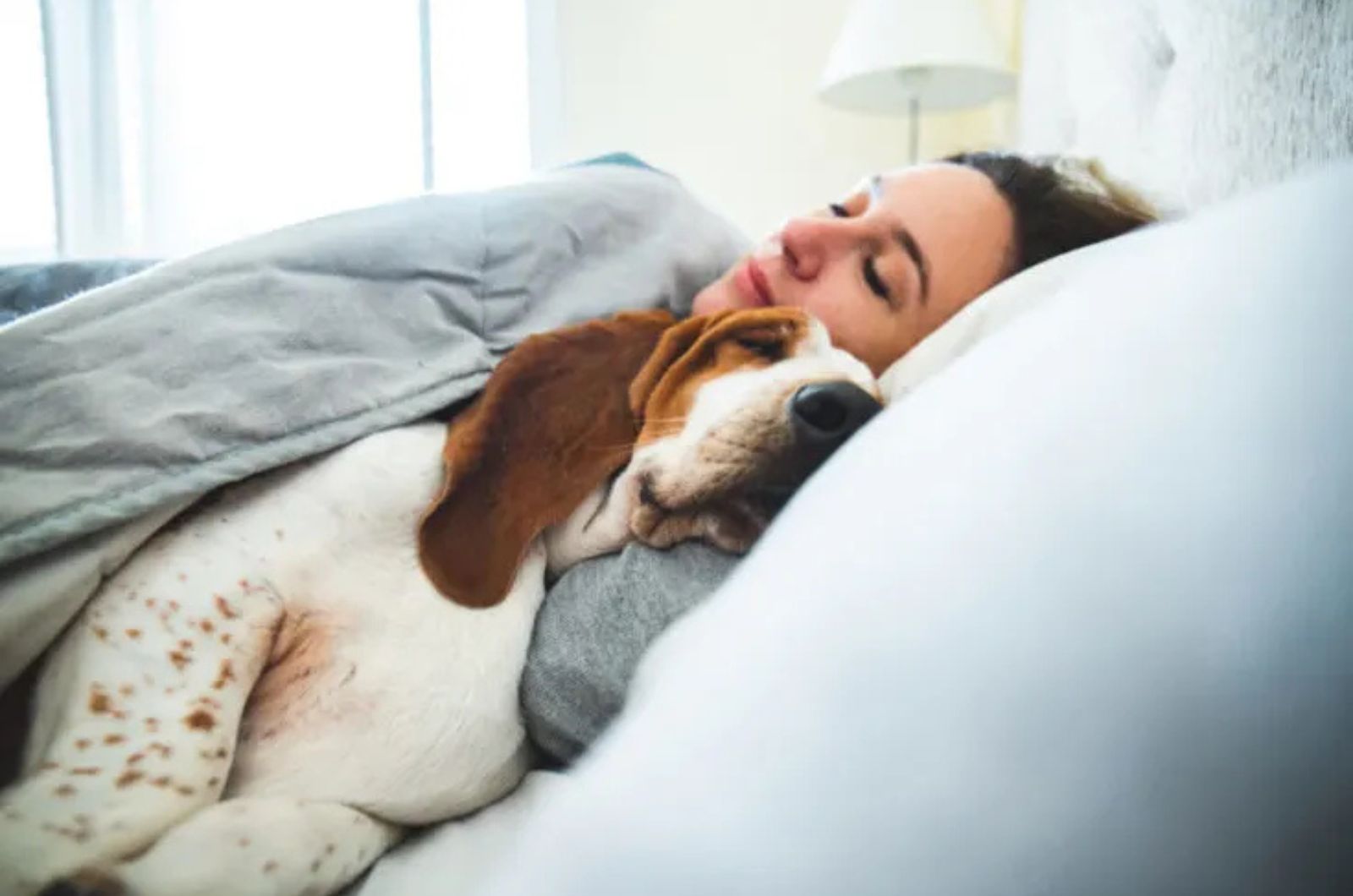 photo of dog and woman sleeping