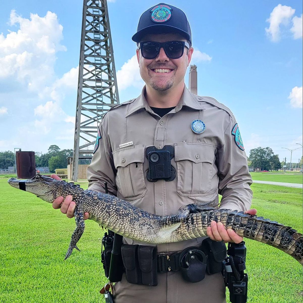 police officer holding an aligator