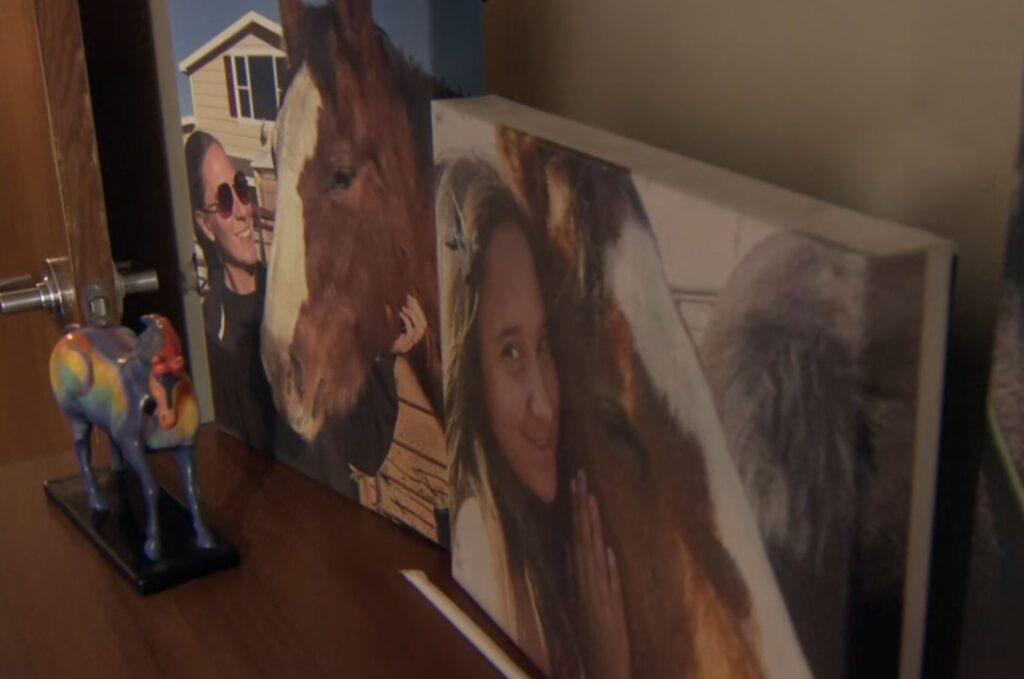 portraits of paintings on the closet