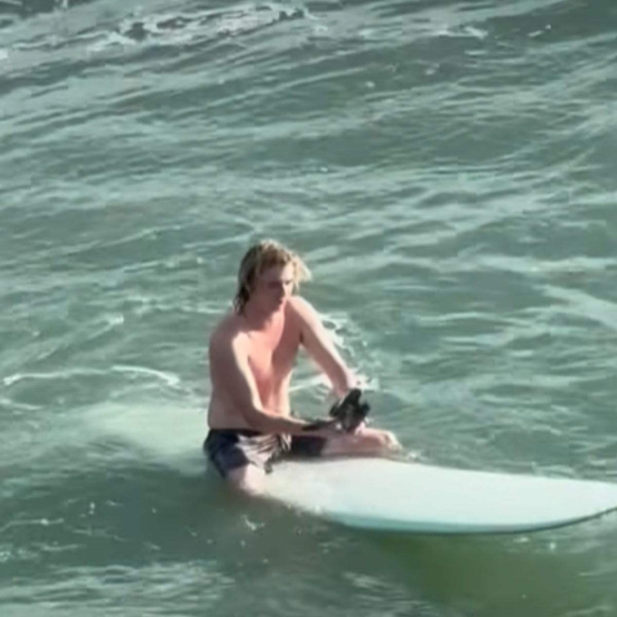 surfer rescuing a bird