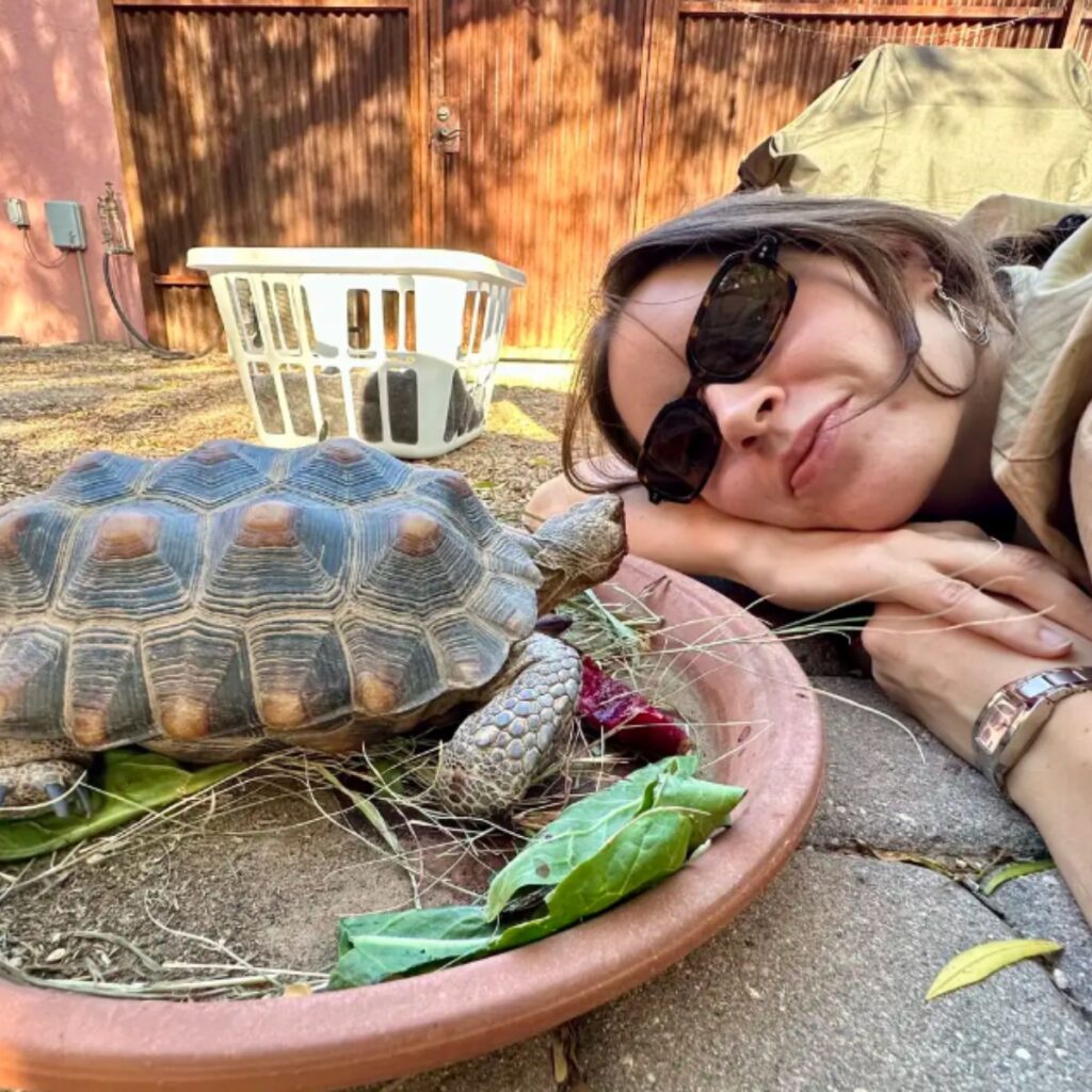 the girl lies next to the turtle