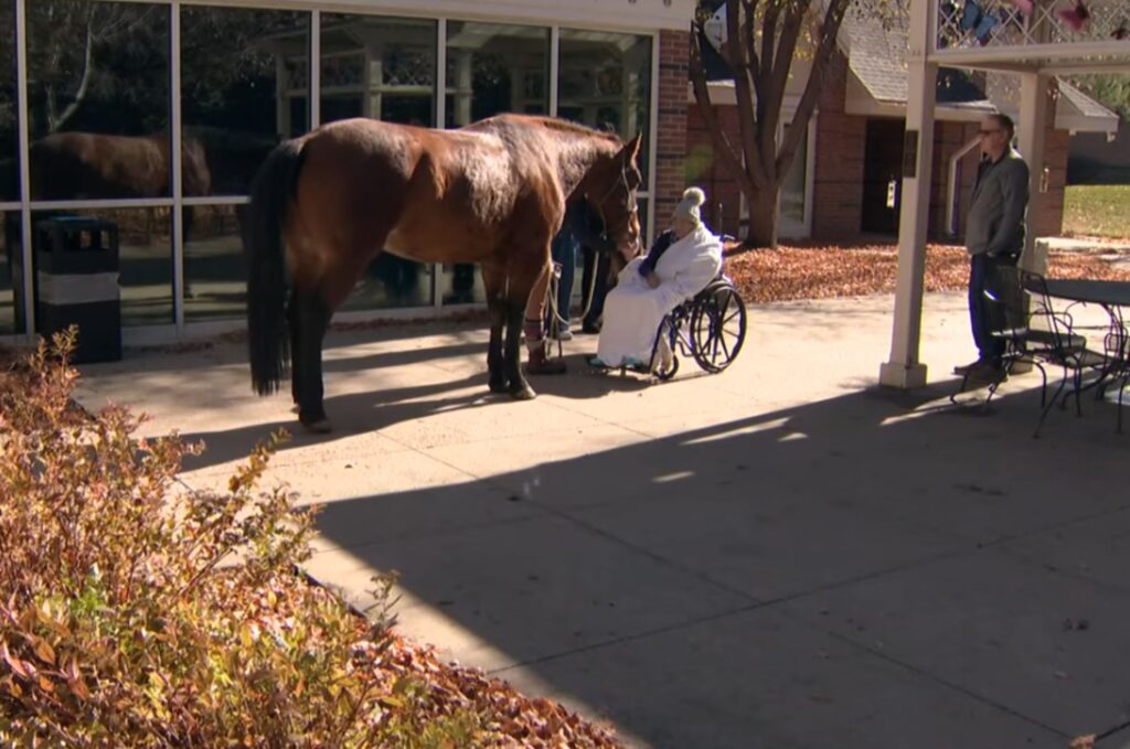 the horse is standing in front of the old woman with the cart