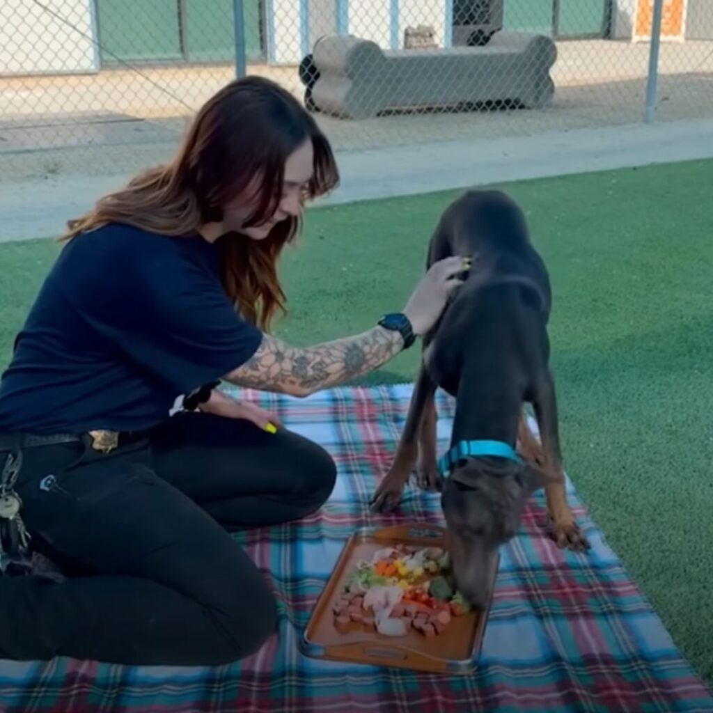 the woman is sitting on the lawn, the dog is eating her food