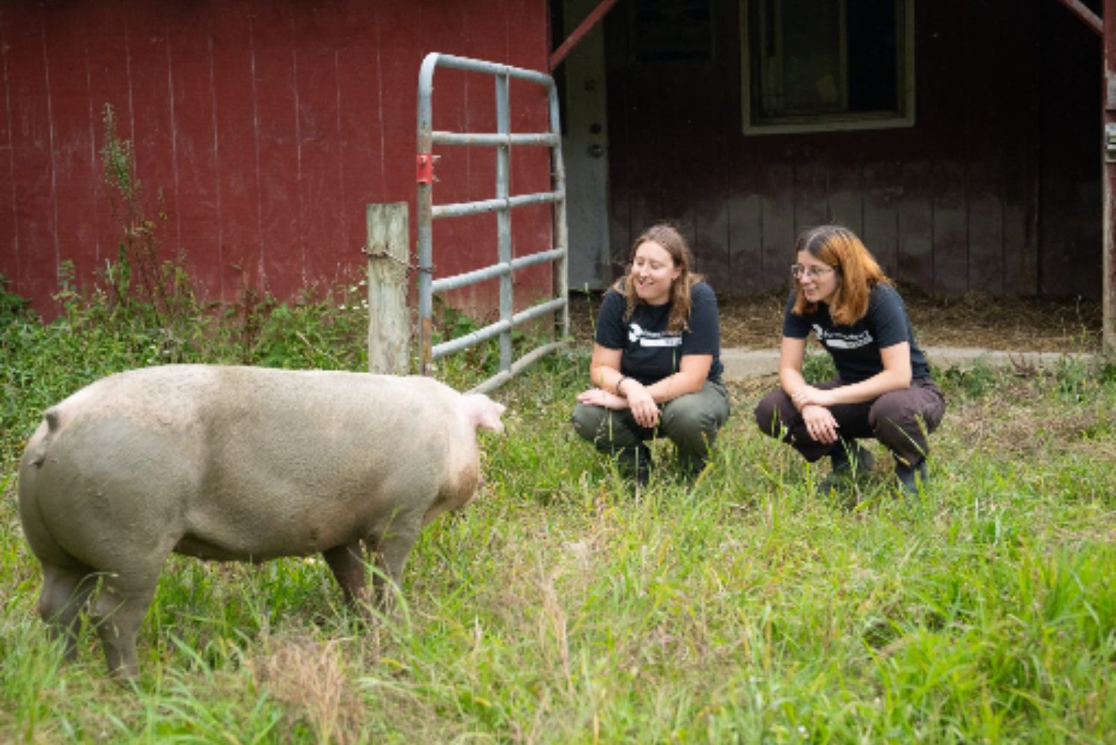 two woman and a pig on a farm