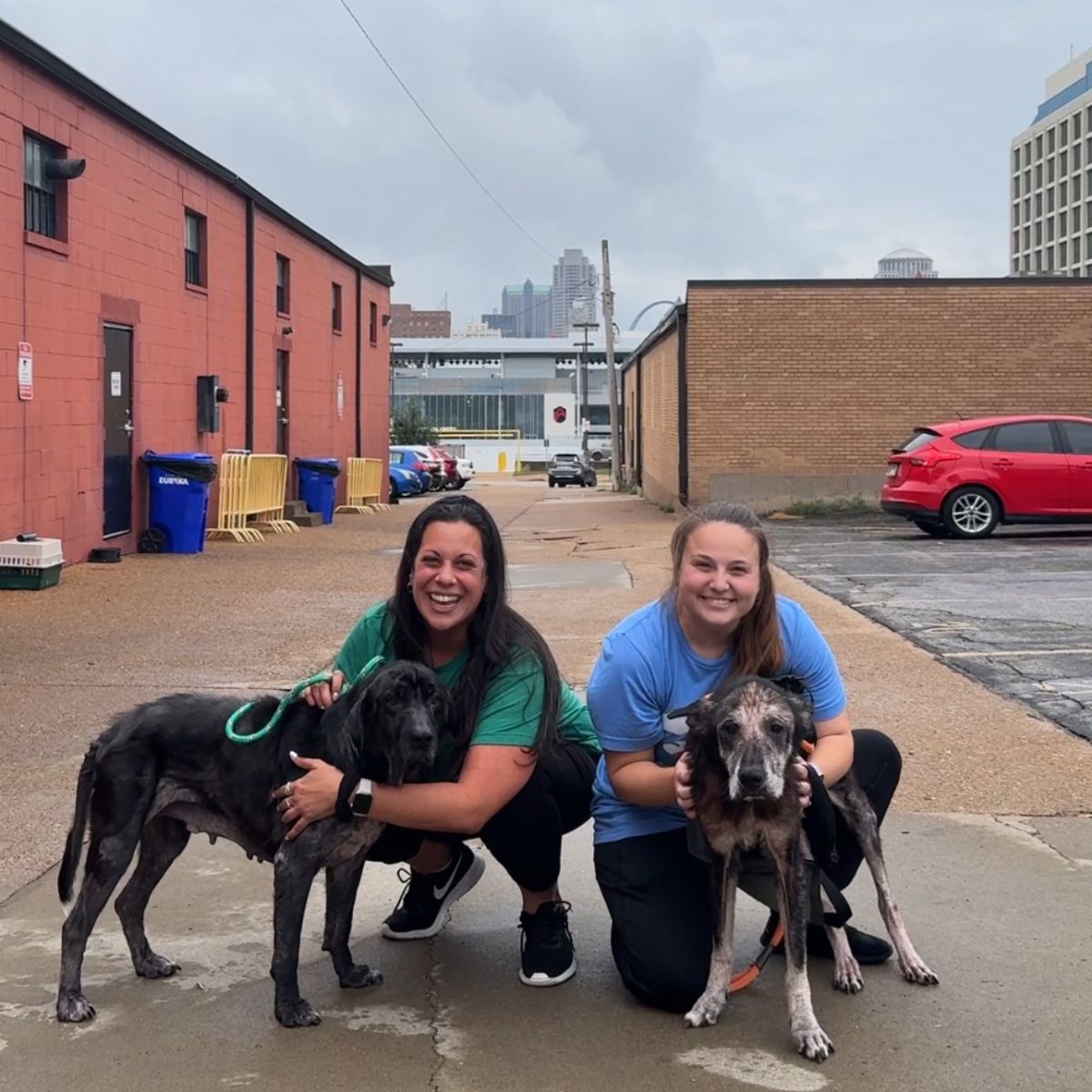 two woman and two dogs