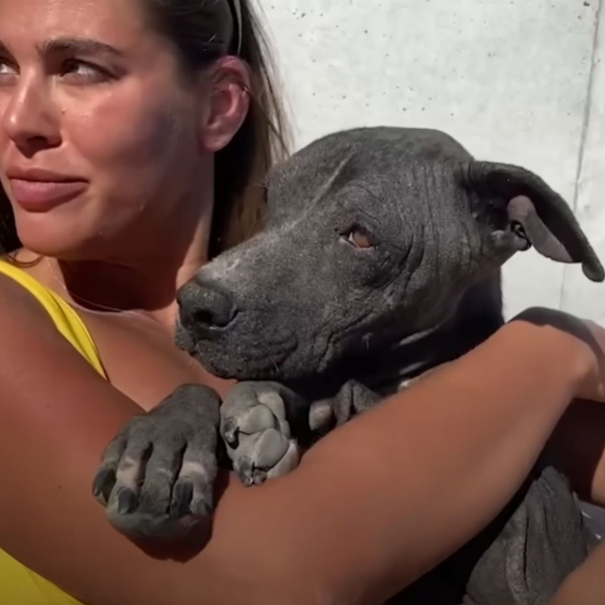 woman and cute black dog