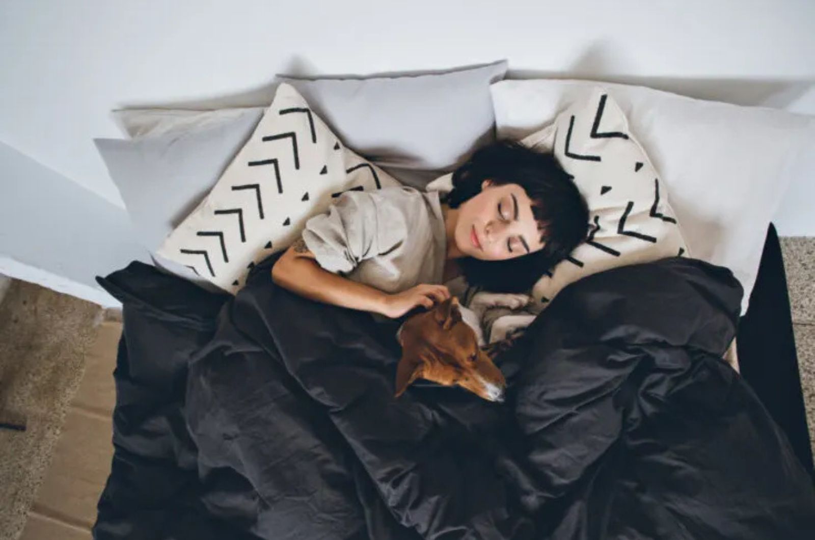 woman and dog sleeping in bed