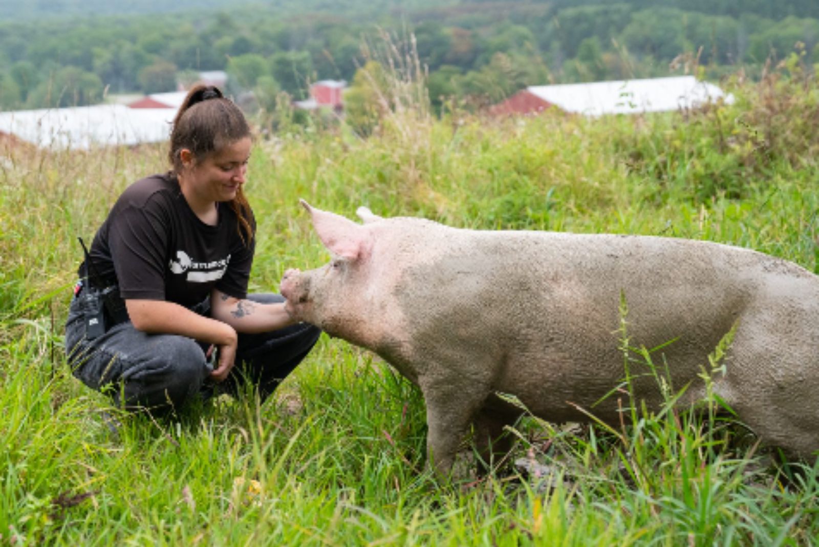 woman checking on pig