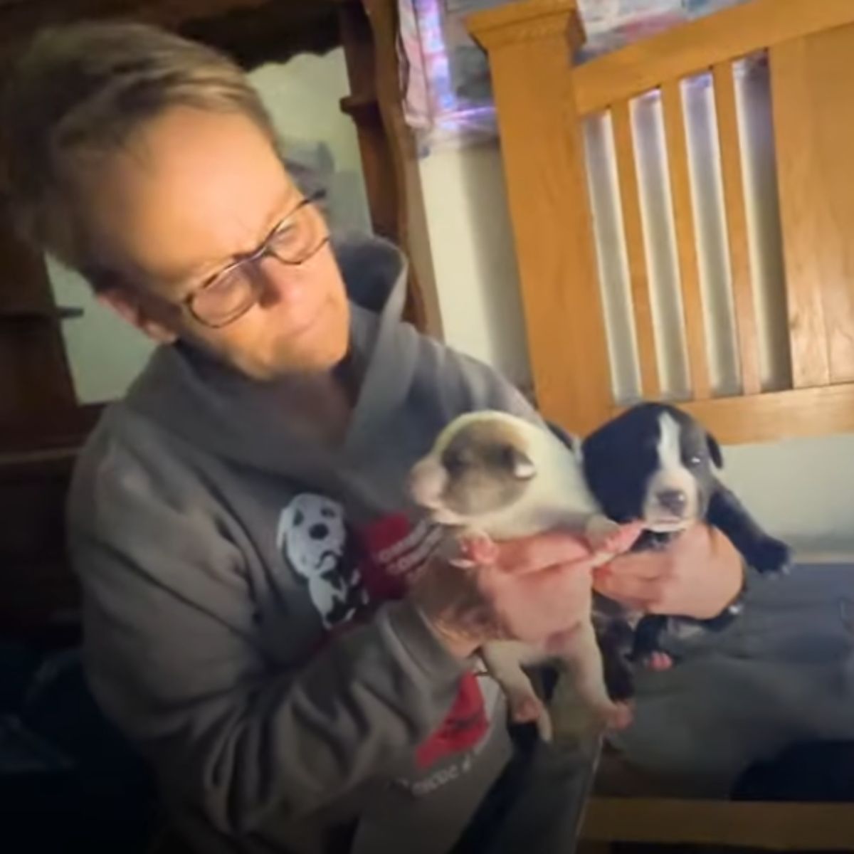 woman holding two puppies