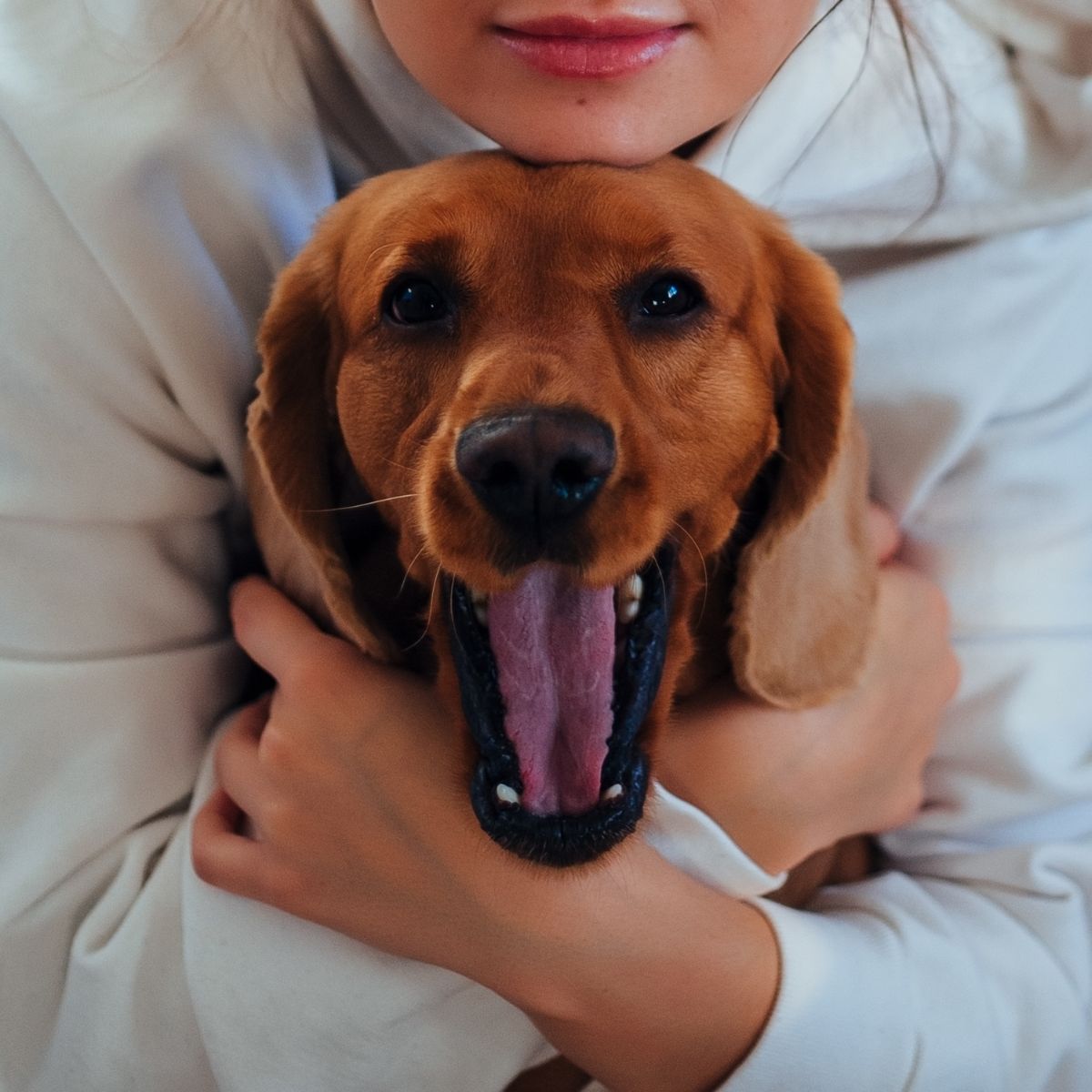 woman hugging a happy dog