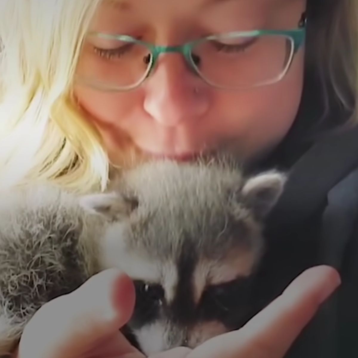 woman kissing raccoon