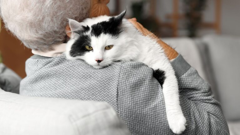 10 Cat Breeds With Long Lifespans You’ll Love Growing Old With