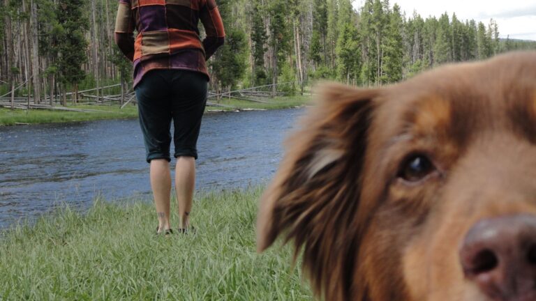 dog on picture with woman