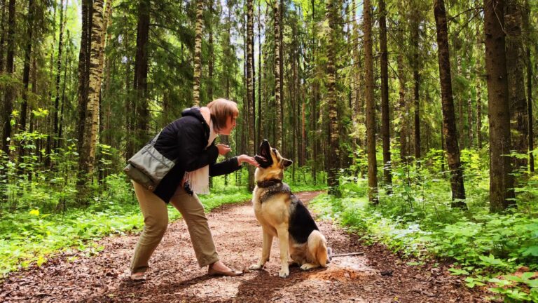 13 Exciting Activities To Enjoy With Your Dog, Indoors And Outdoors