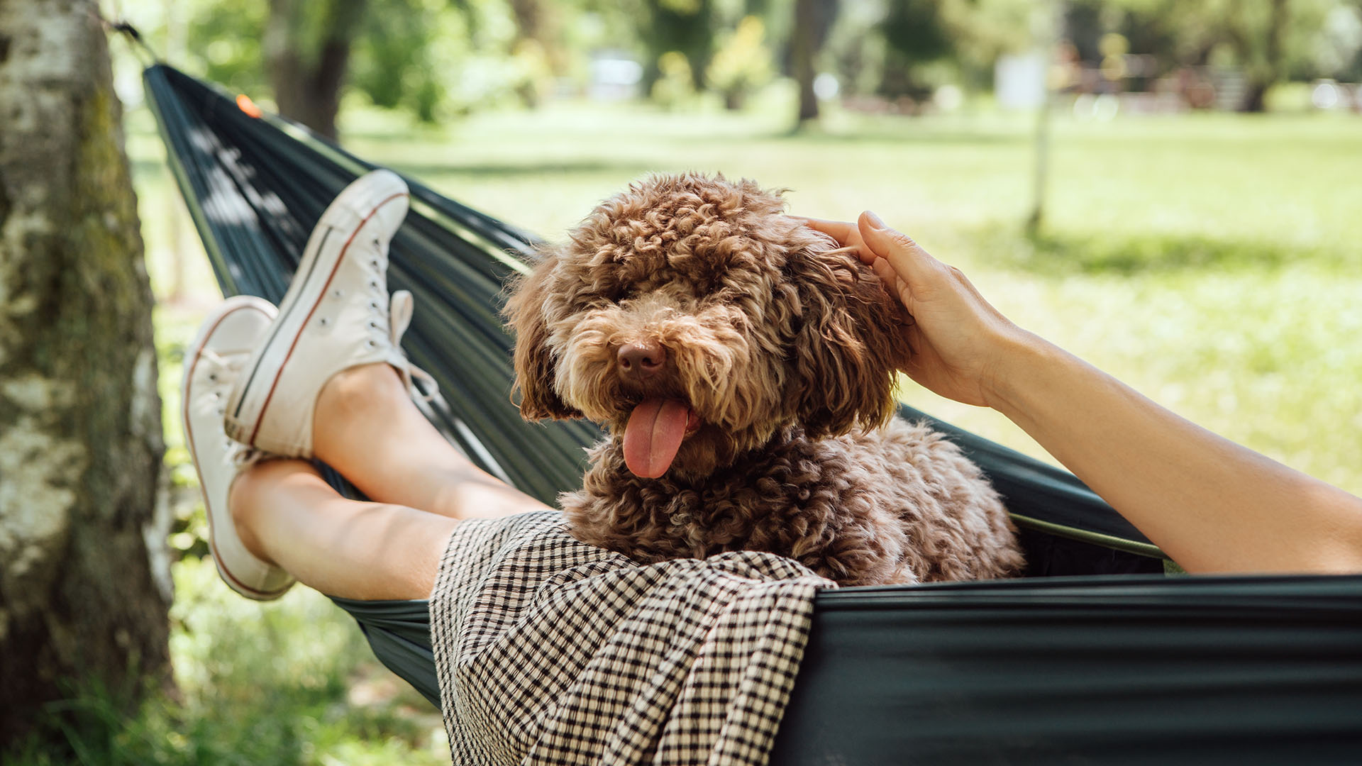 owner and dog