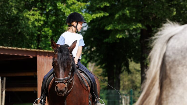 9 Horse Breeds That Are Challenging For Beginner Riders