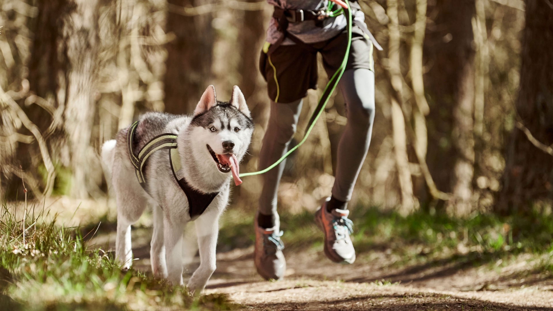 male running with a dog