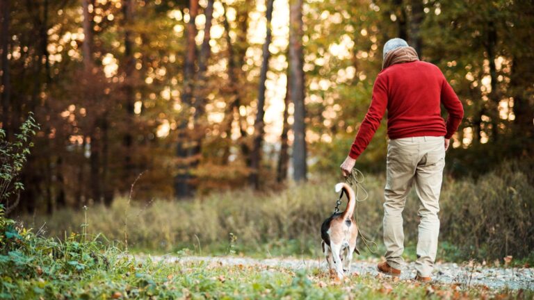 9 Top Dog Breeds For Someone In Their 70s