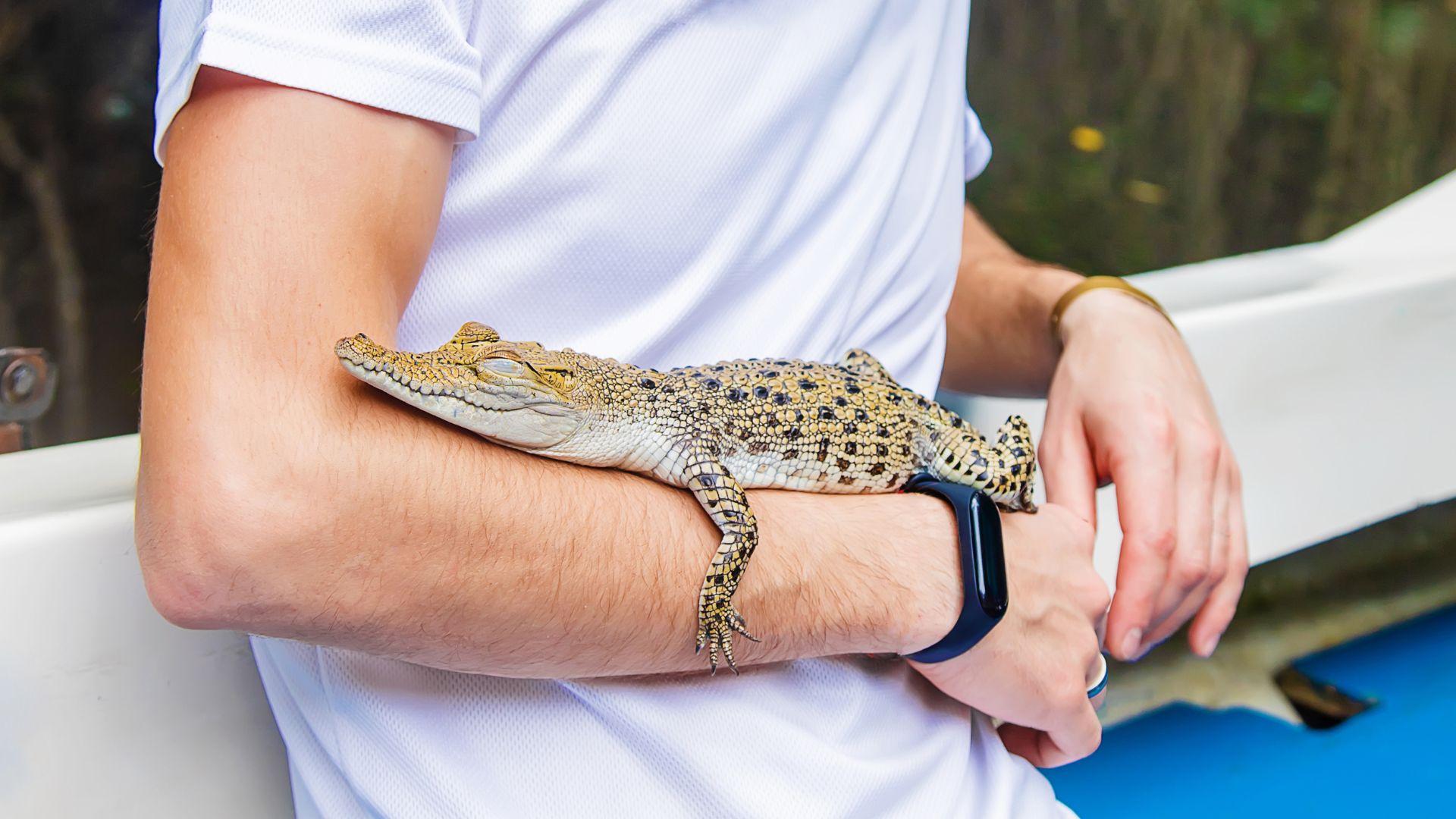 9 US States Where You Can Legally Own An Alligator As A Pet