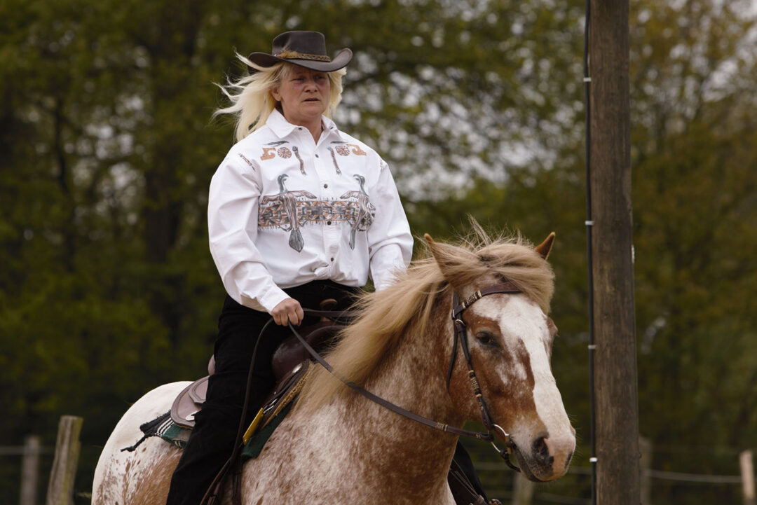 Best Riding Animals 11 Horse Breeds That Are Perfect Riding Companions