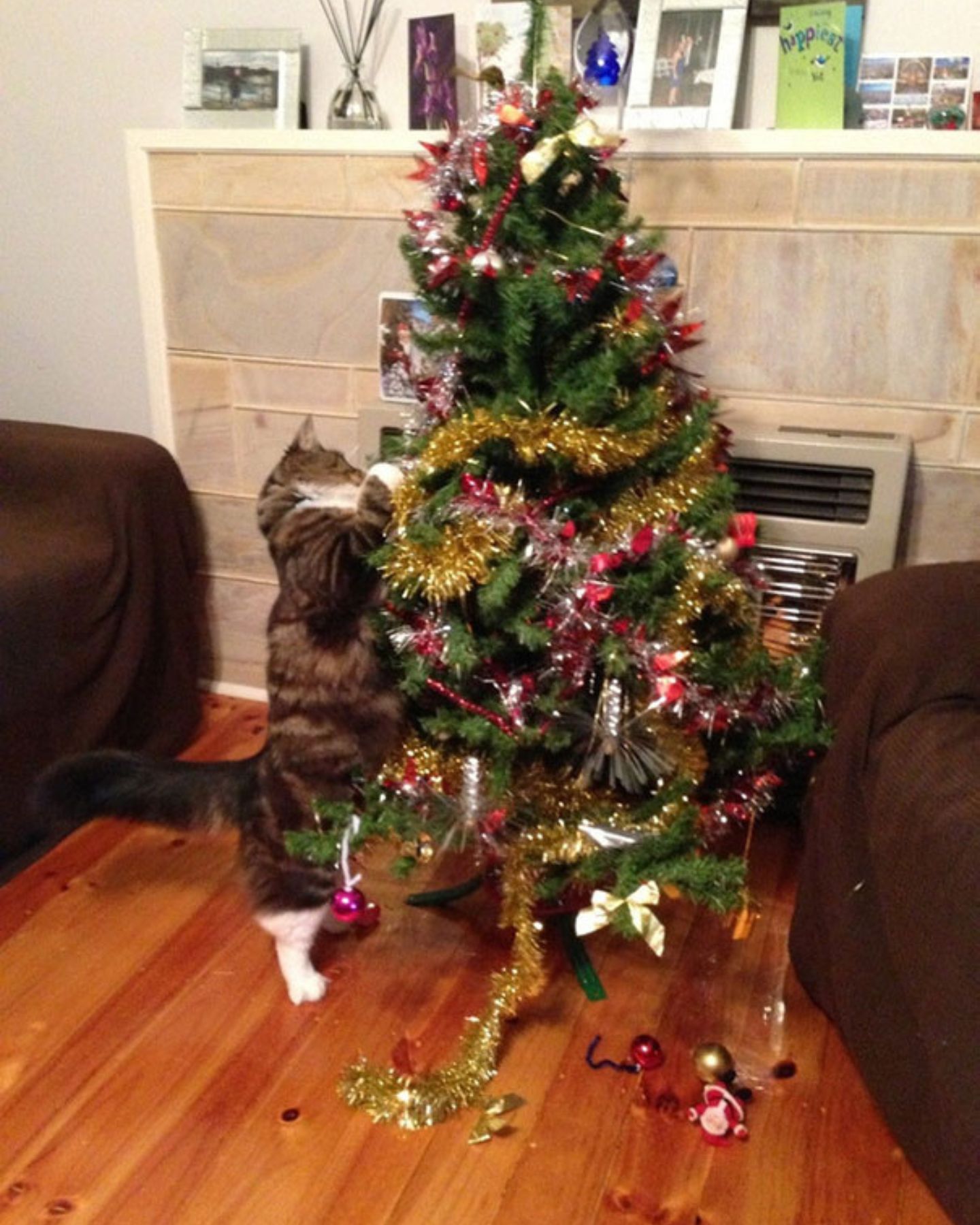 Cat playing with Xmas tree