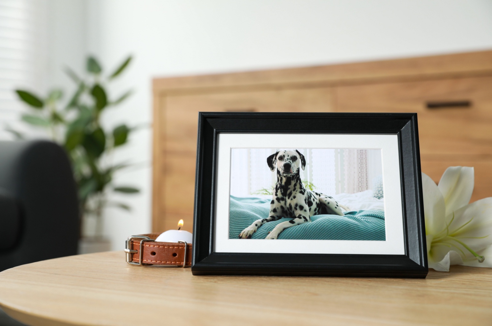 Frame with a picture of a dog