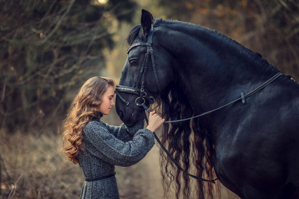 Best Riding Animals 11 Horse Breeds That Are Perfect Riding Companions