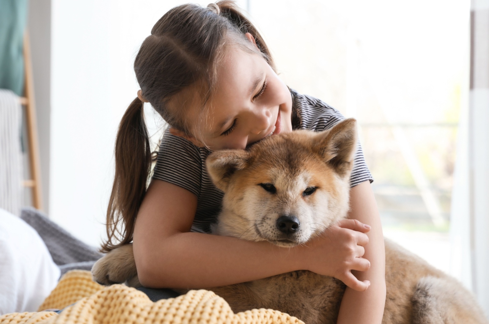 akita and girl