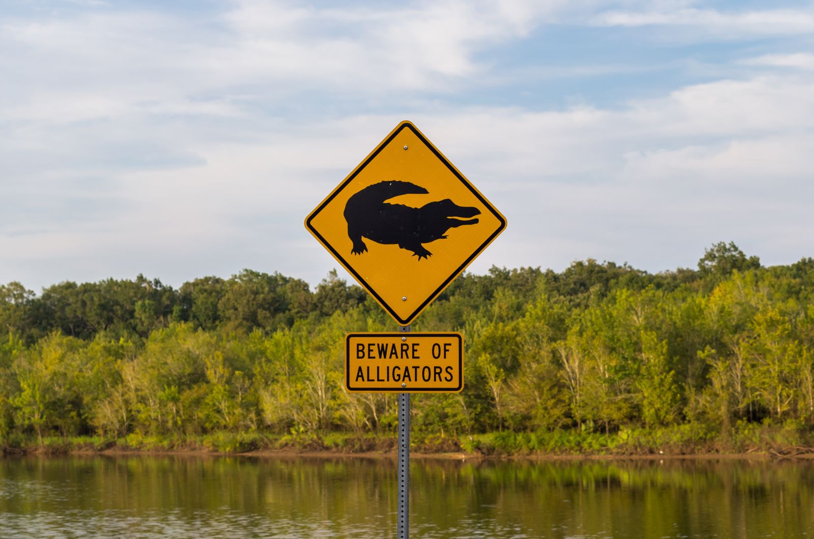 aligator sign in lake