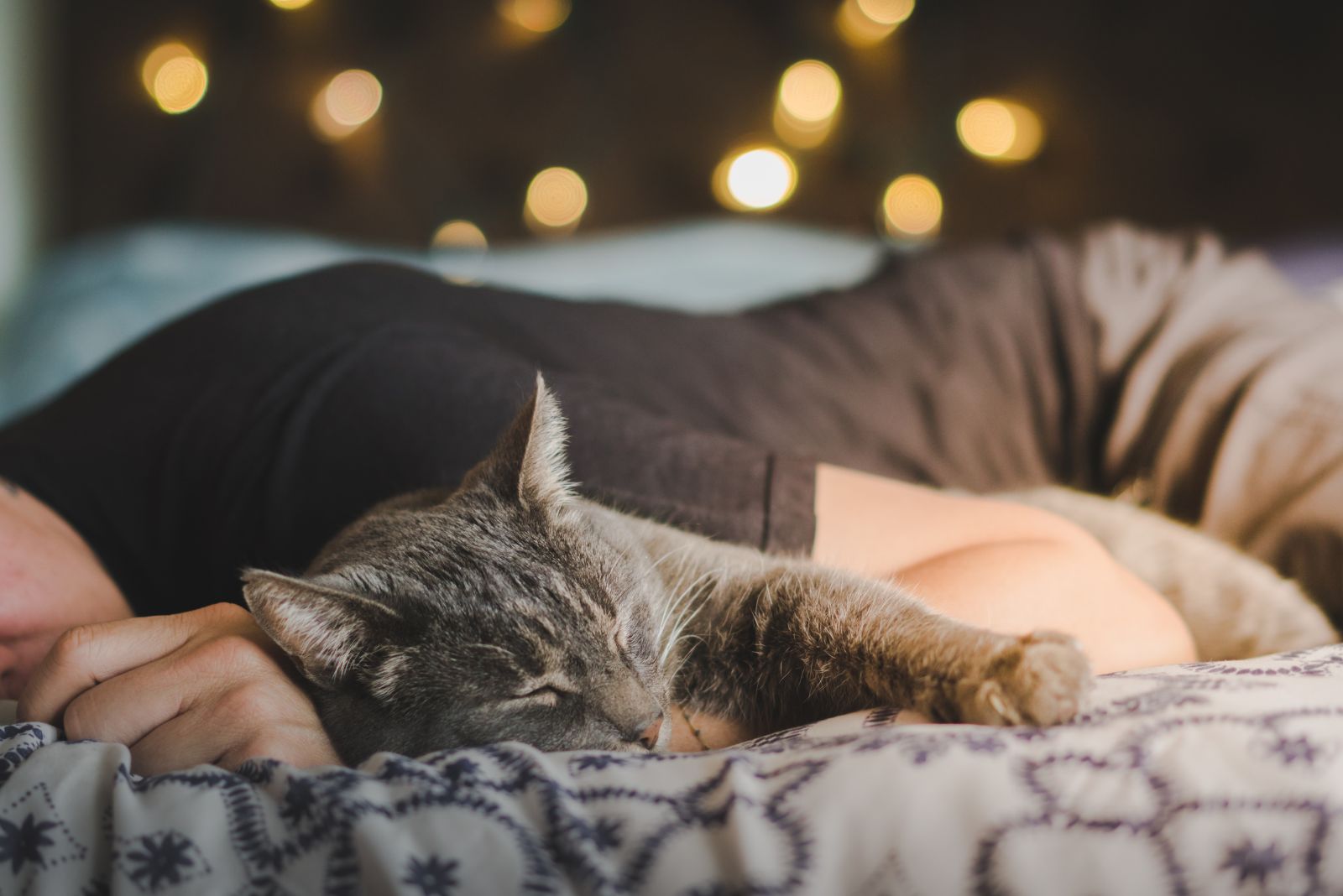 cat and man sleeping