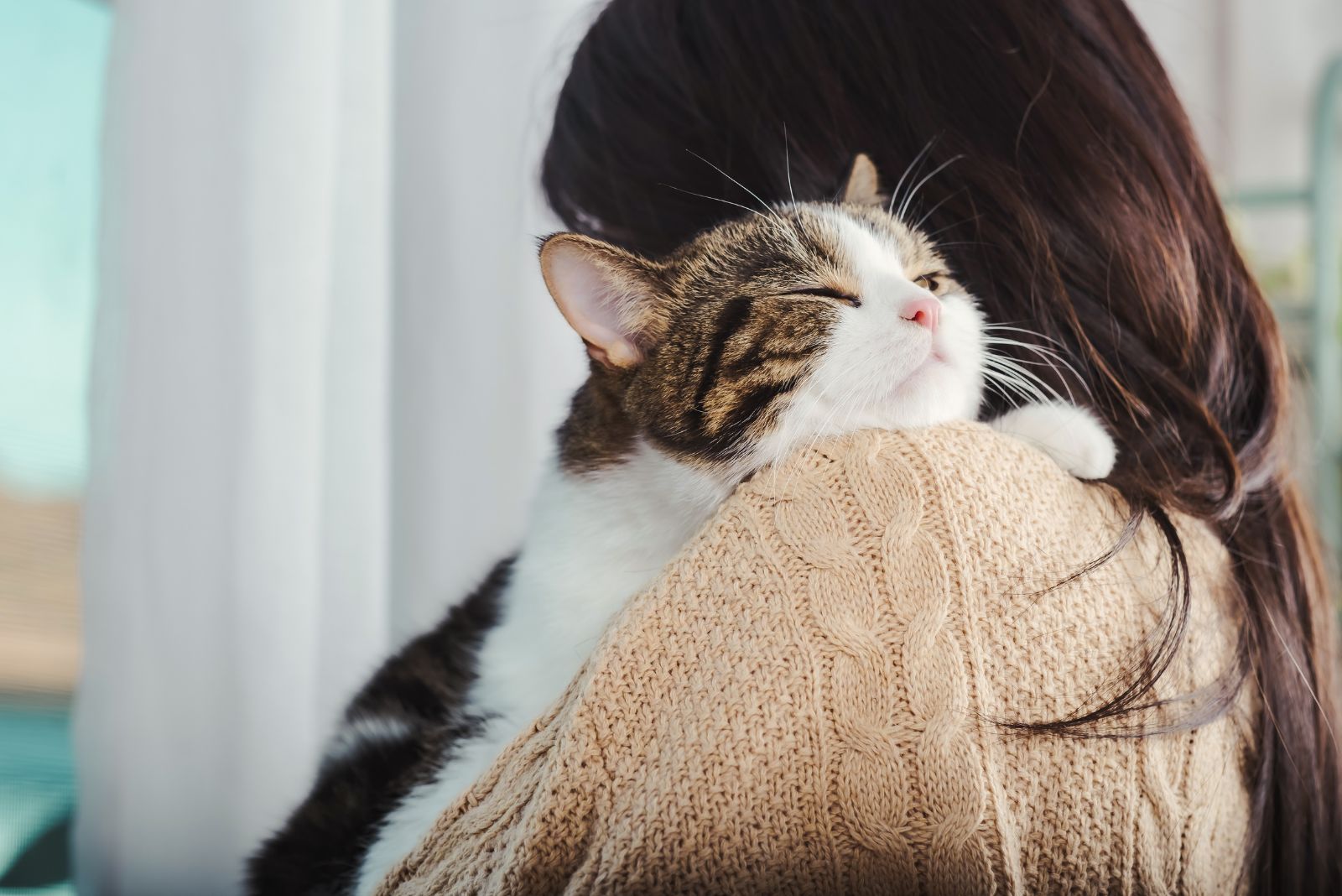 cat on womans shoulder