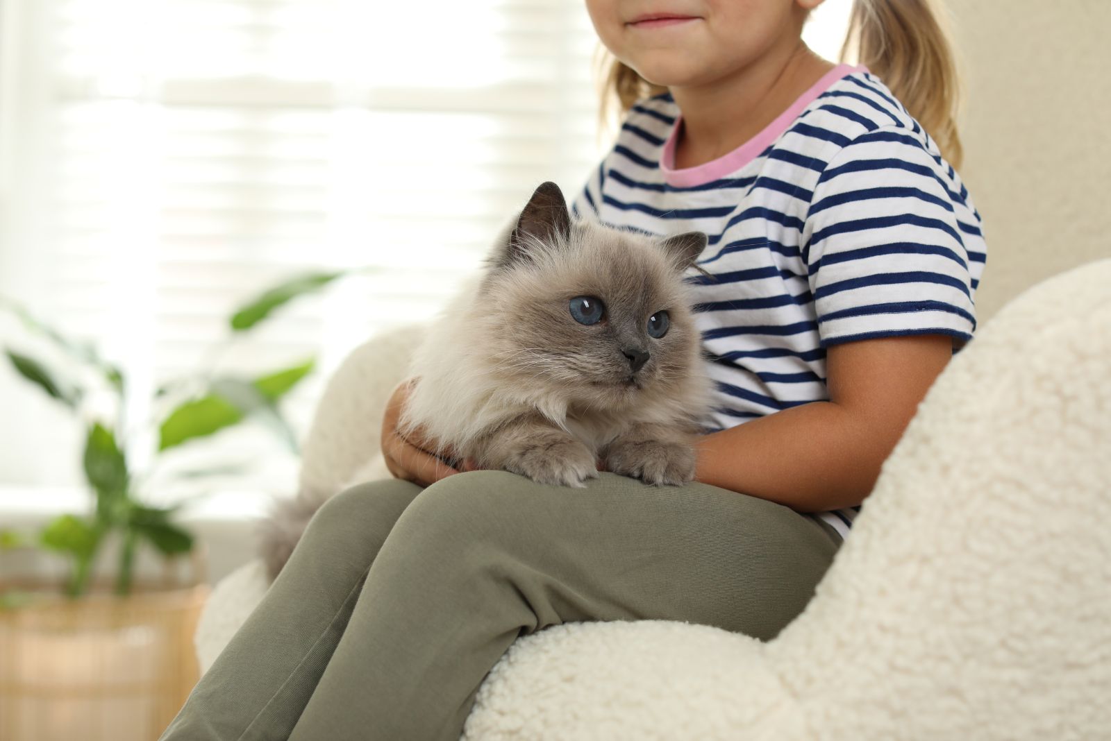 cat with girl