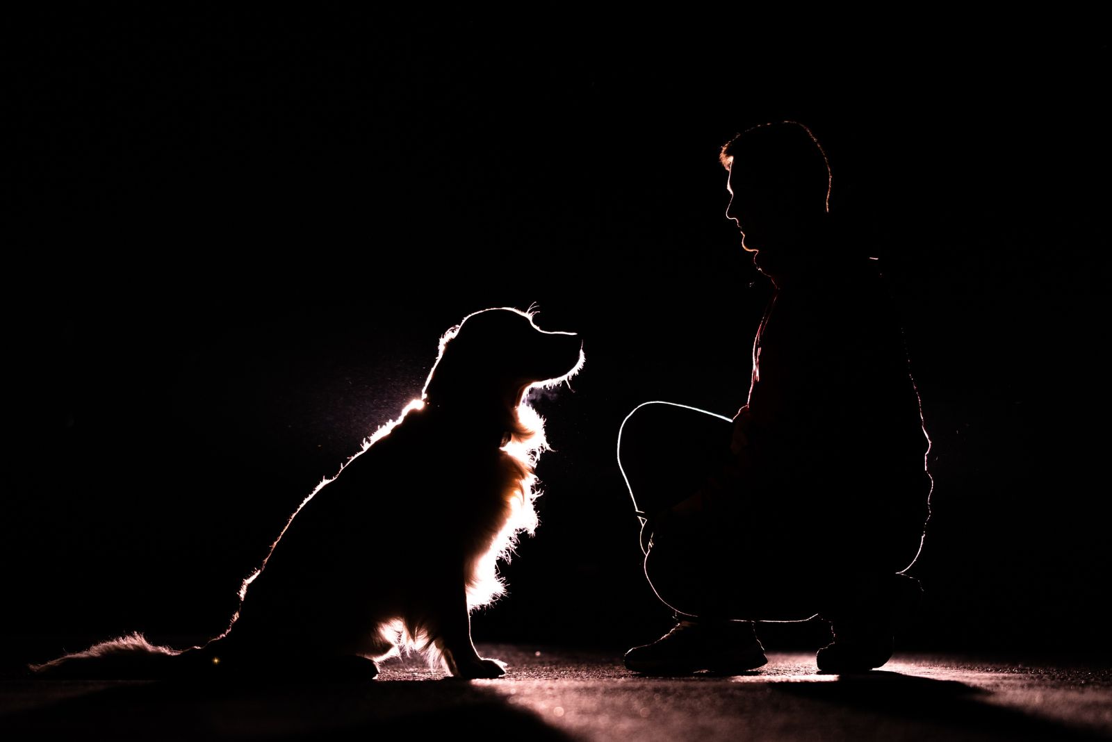 dog and man in dark