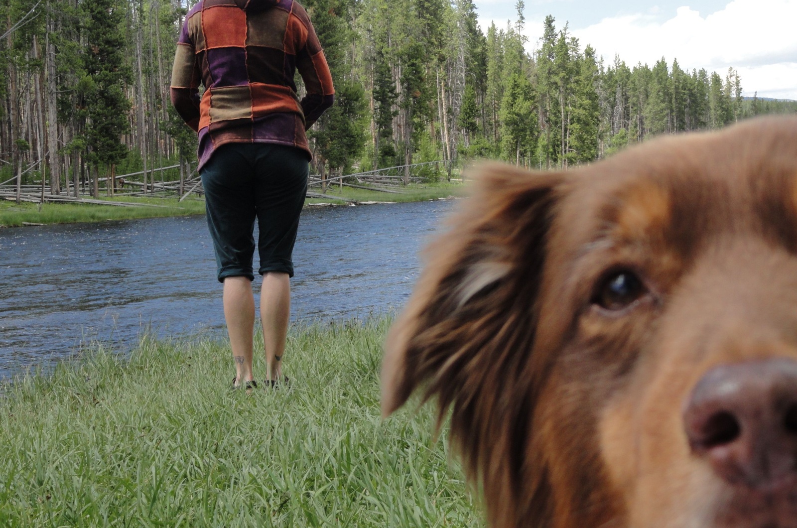 dog and woman