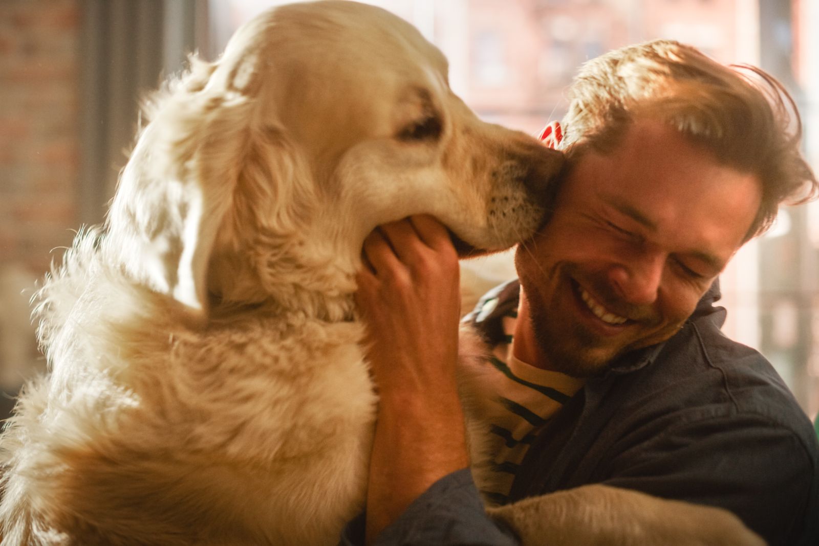 dog kisses man