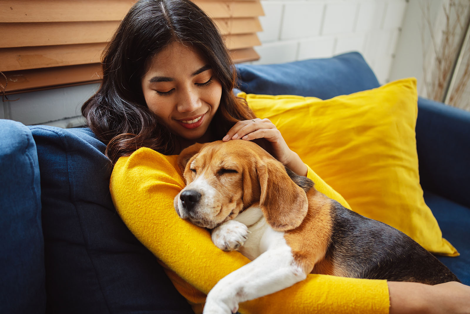 dog sleeping in womans lap