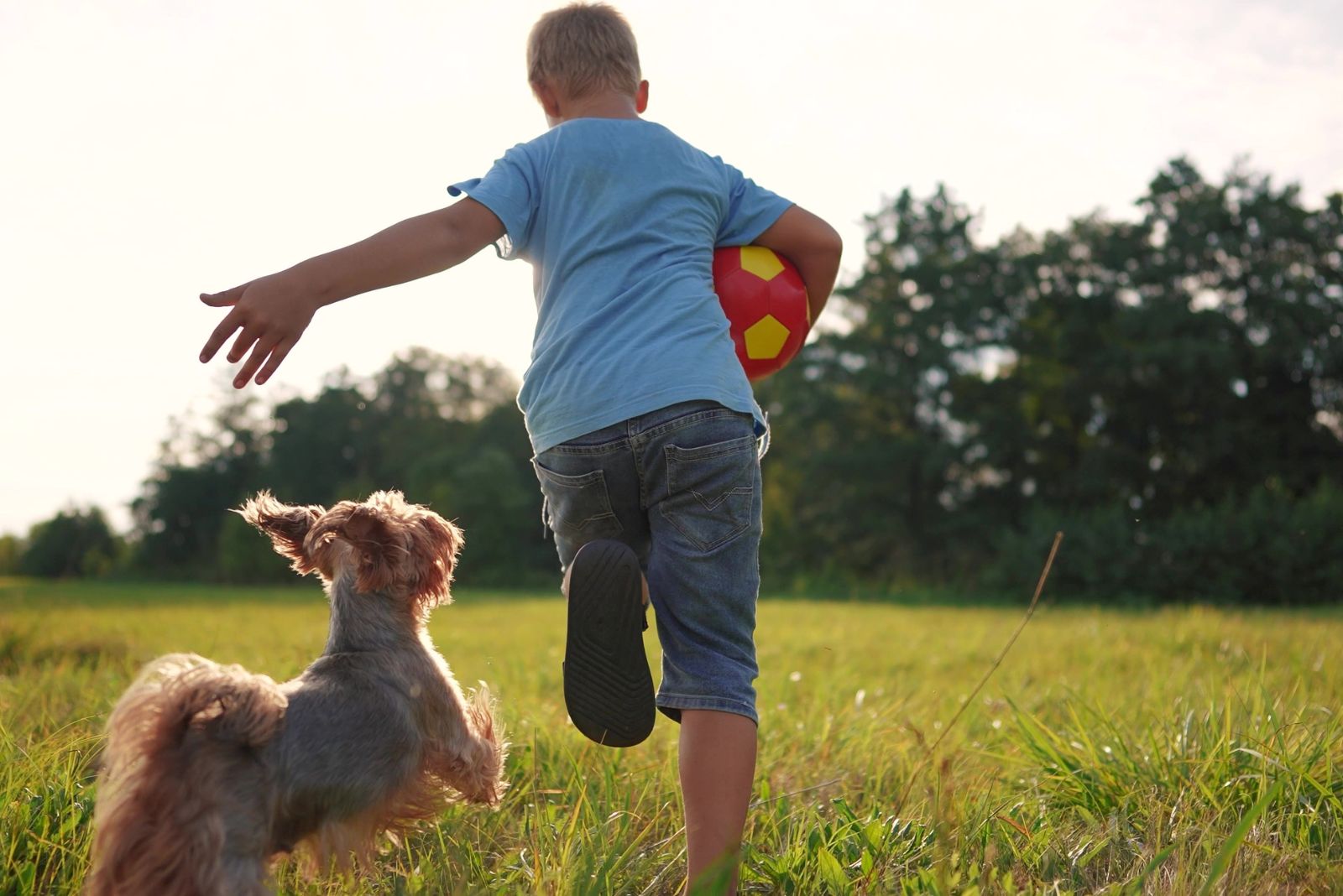 dog with kids