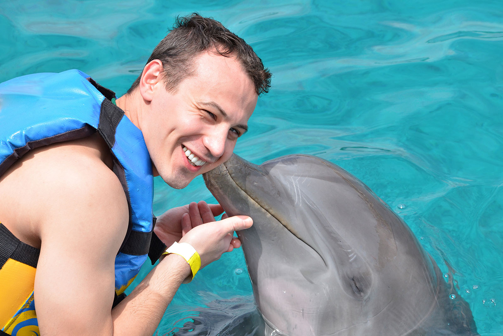 dolphin kissing man on cheek