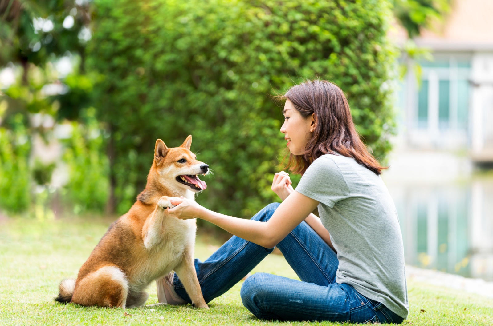 female training a dog