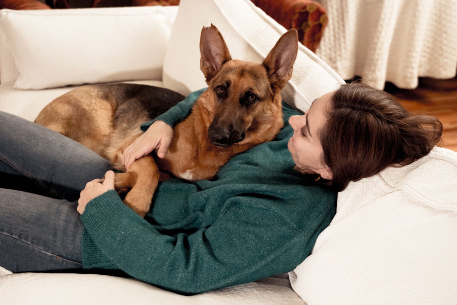 german shepherd lying with woman on the couch