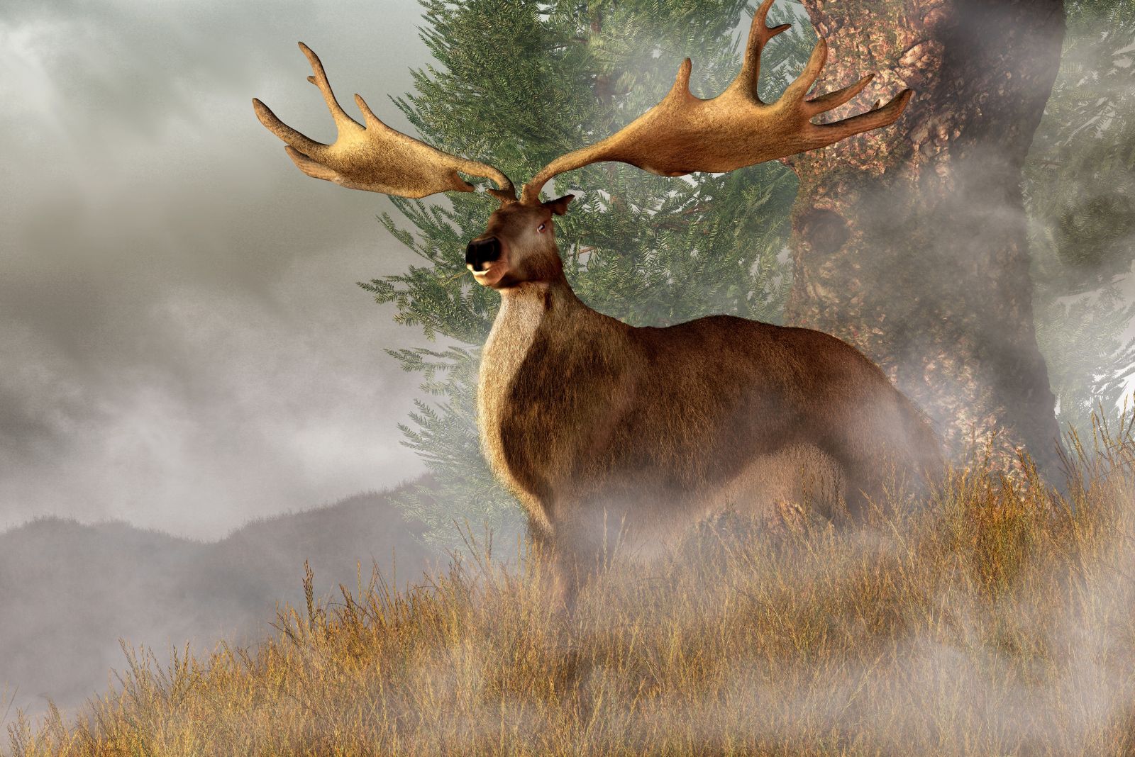 irish elk