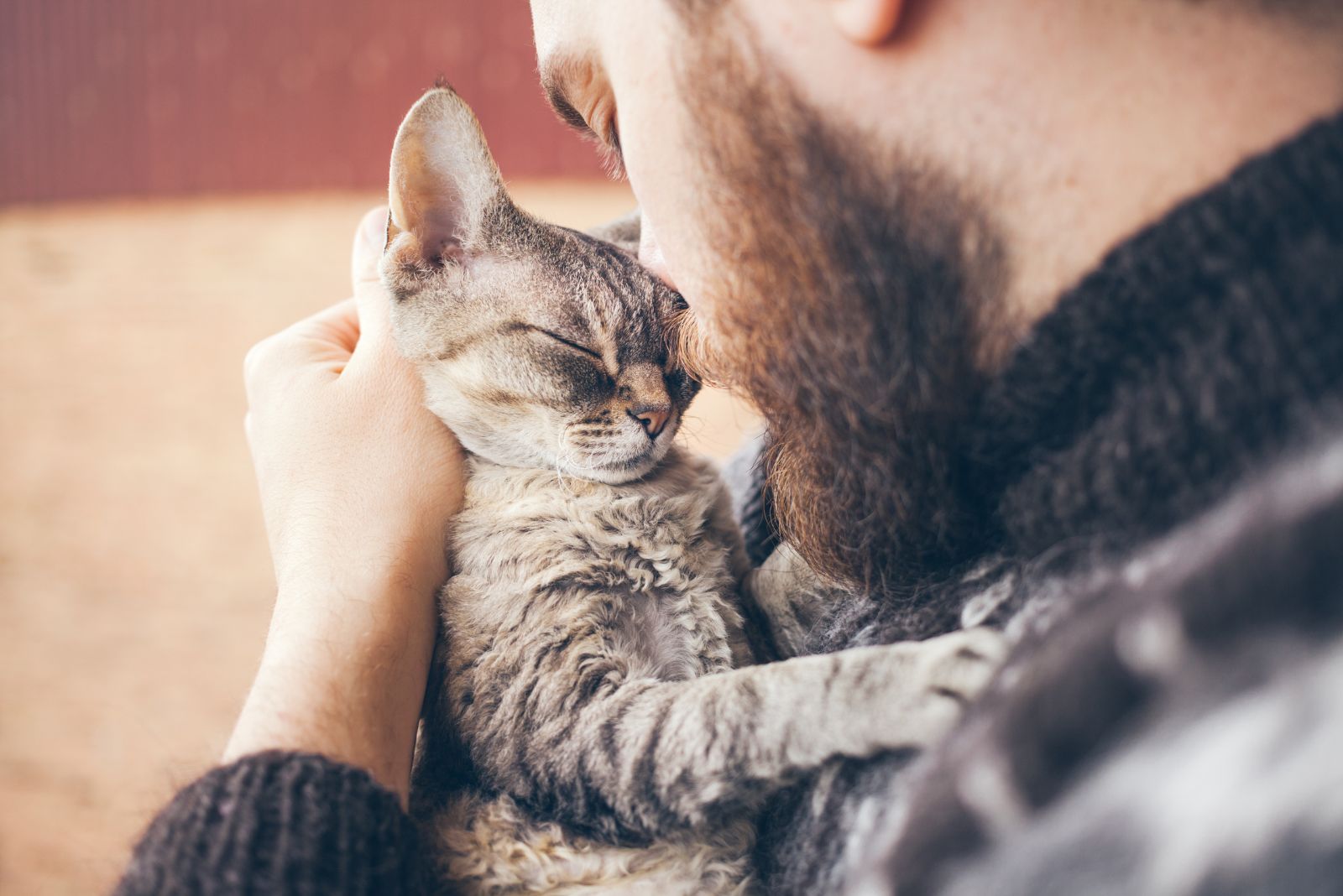 kitten snuggling man