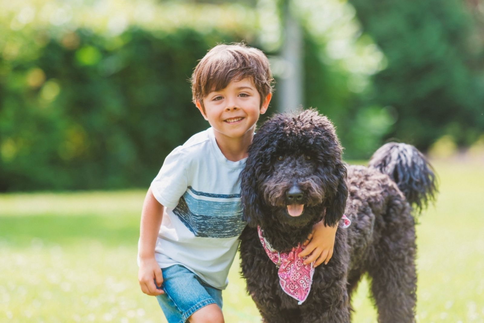 little boy posing with goldendoodle