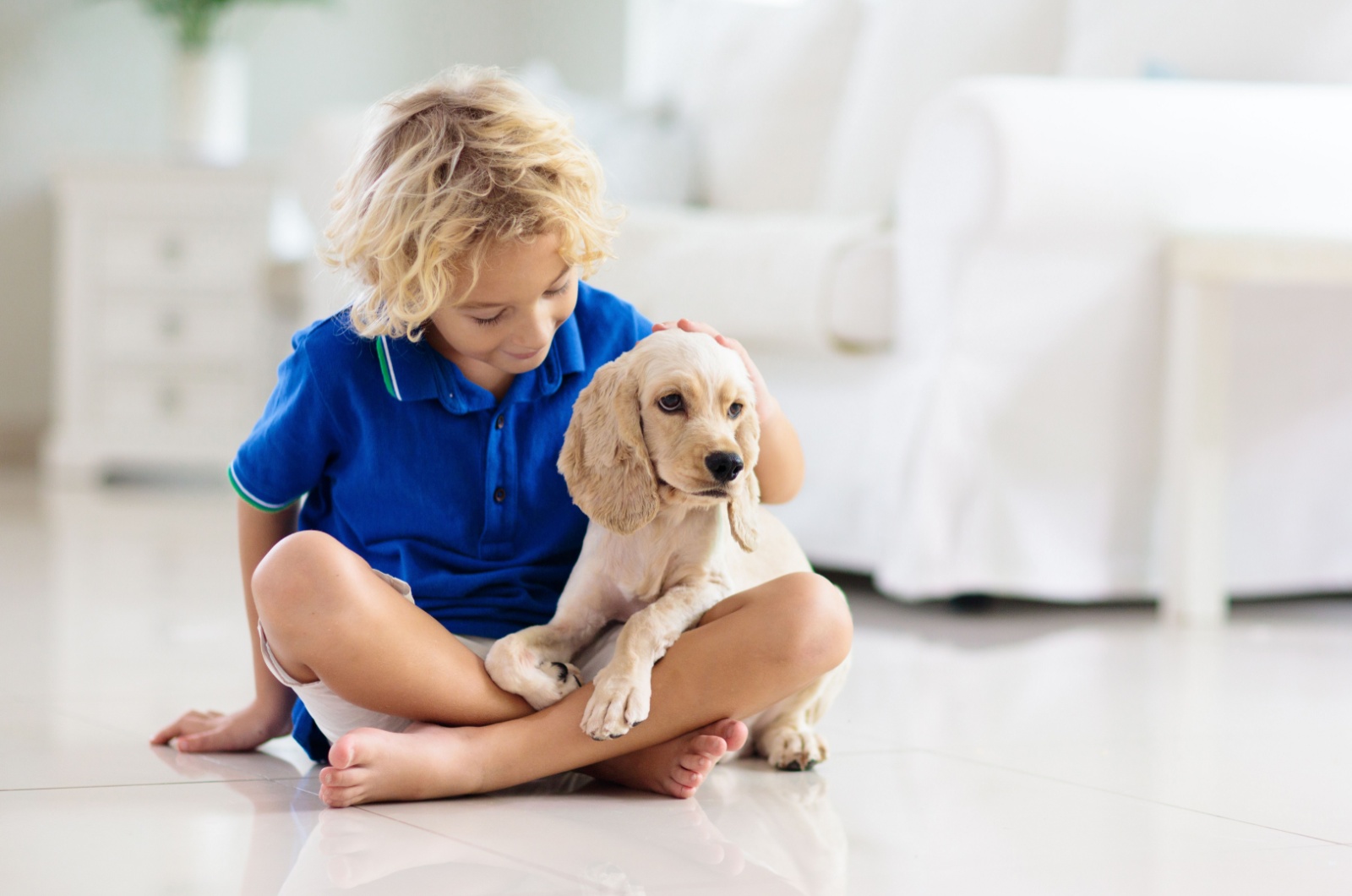 little boy with a dog