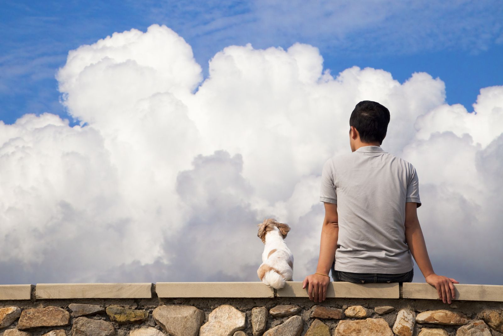 man and dog watching sky