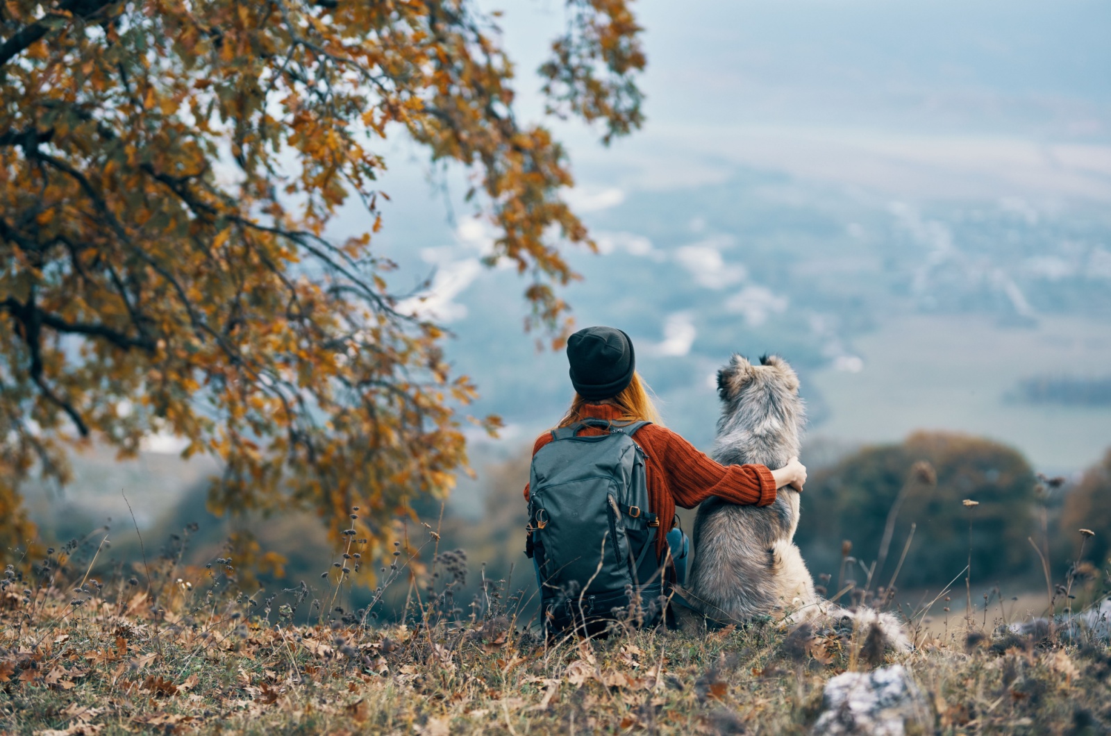 owner and dog hiking